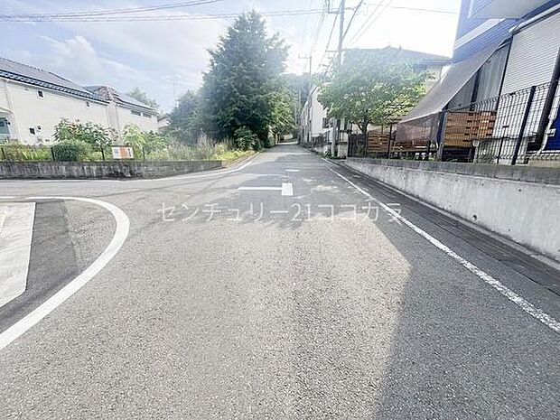2026年6月29日撮影