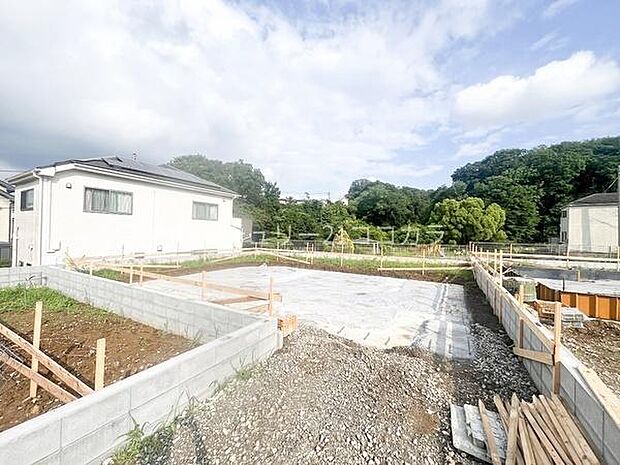 2026年6月29日撮影