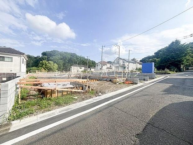 2026年6月29日撮影 全体写真