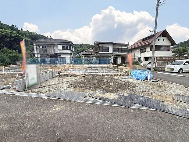 2026年7月3日撮影