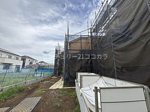 2026年8月28日撮影
