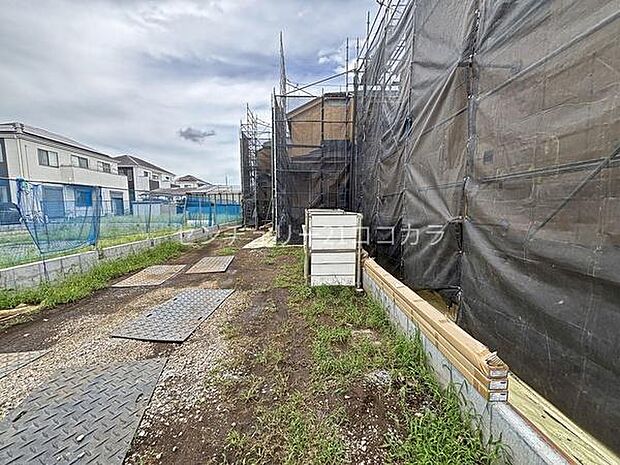 2026年8月28日撮影