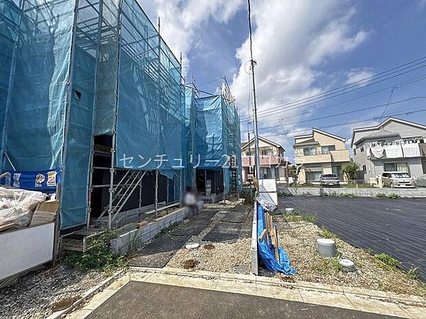 2026年9月25日撮影