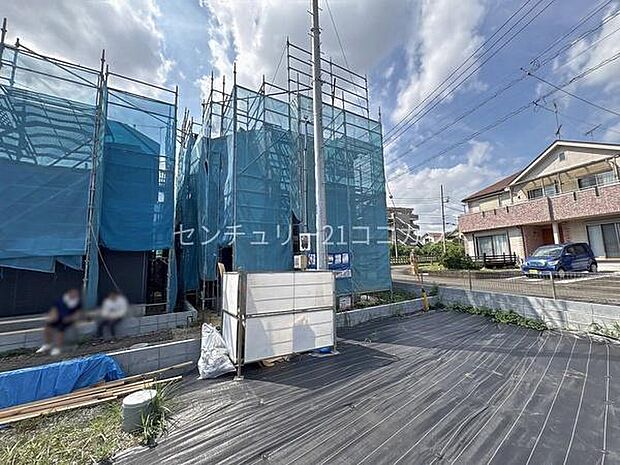 2026年9月25日撮影