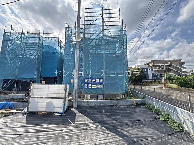2026年9月25日撮影