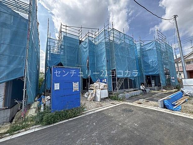 2026年9月25日撮影