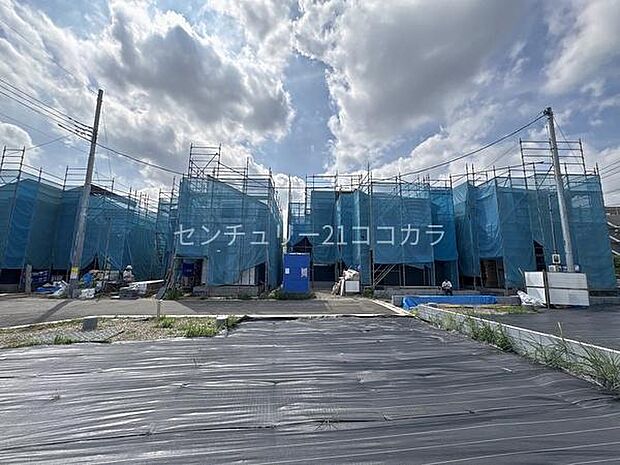 2026年9月25日撮影