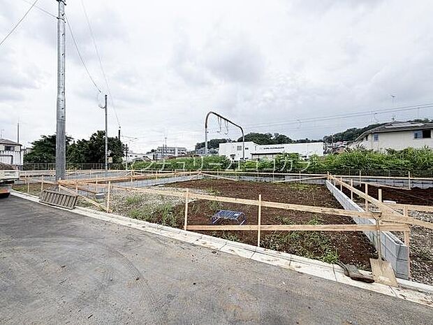 2026年7月6日撮影