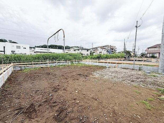 2026年7月6日撮影