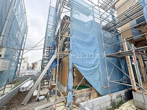 2026年8月17日撮影