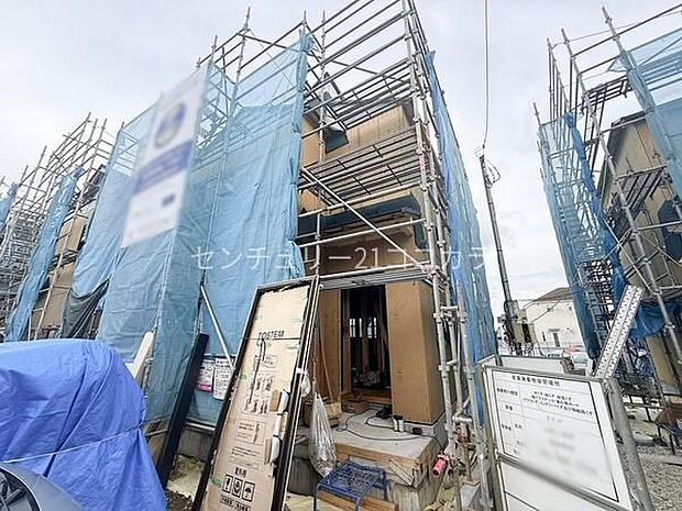 2026年8月17日撮影