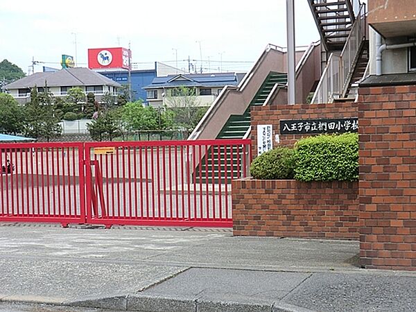 八王子市立椚田小学校まで700m