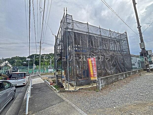 2026年7月31日撮影