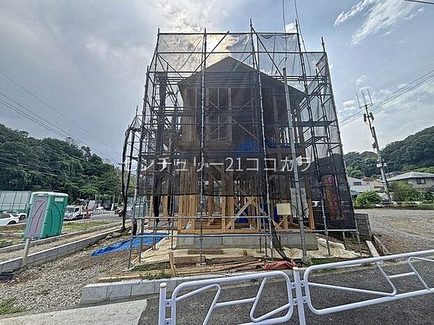 2026年7月31日撮影