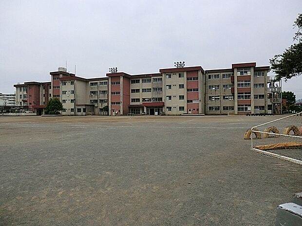 八王子市立清水小学校まで600m