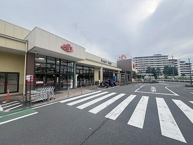 スーパーアルプス中野店まで1100m
