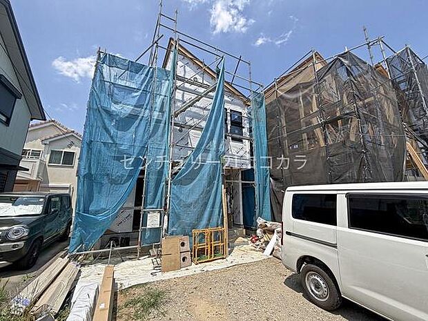 2026年7月23日撮影