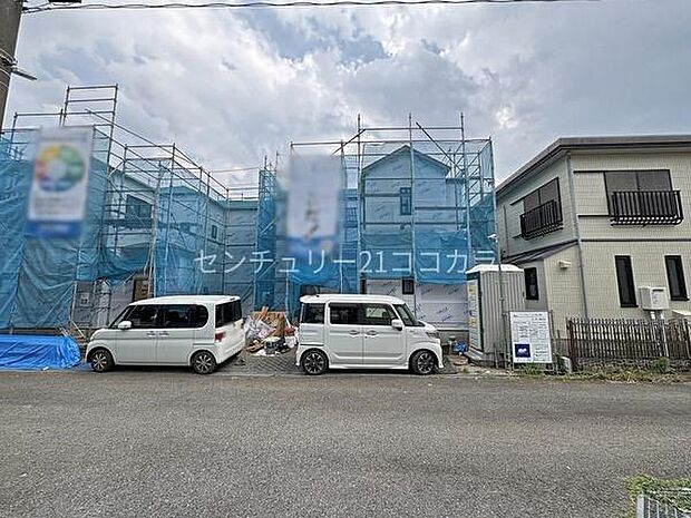 2026年7月23日撮影