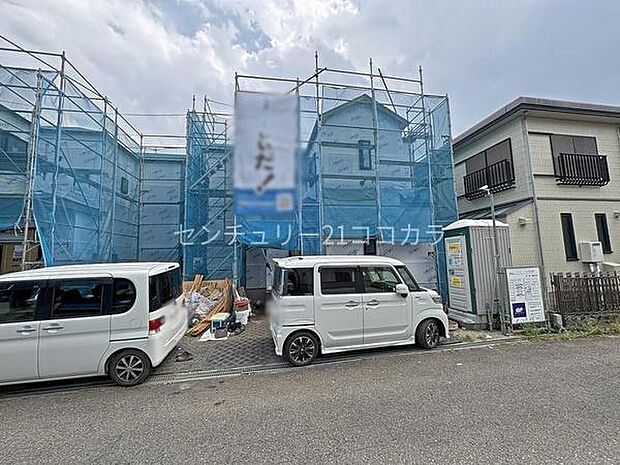 2026年7月23日撮影