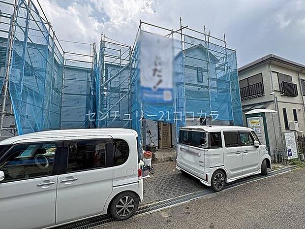 2026年7月23日撮影