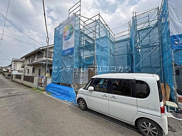 2026年7月23日撮影