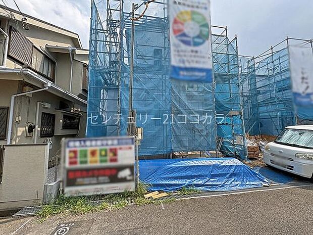 2026年7月23日撮影