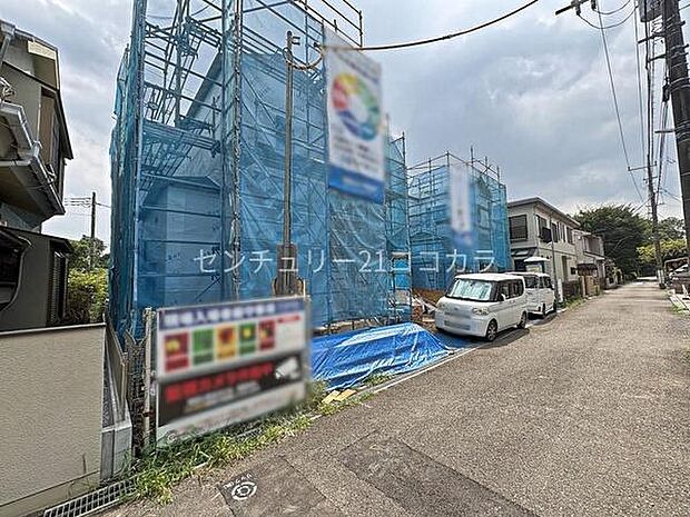 2026年7月23日撮影