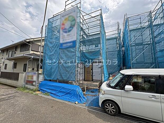 2026年7月23日撮影