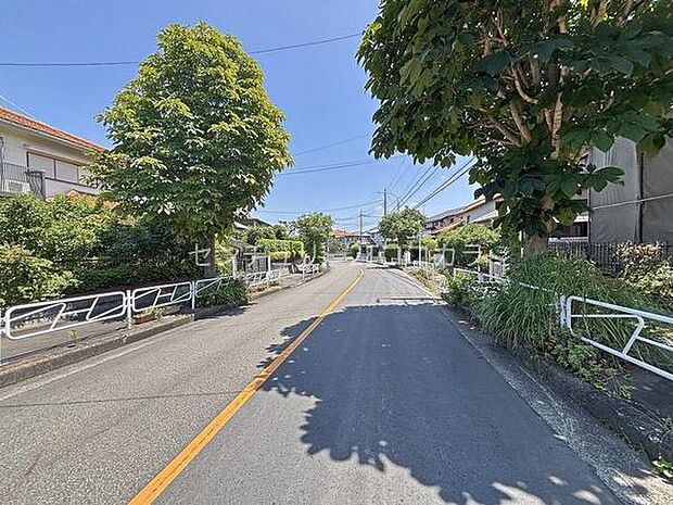 2026年7月25日撮影