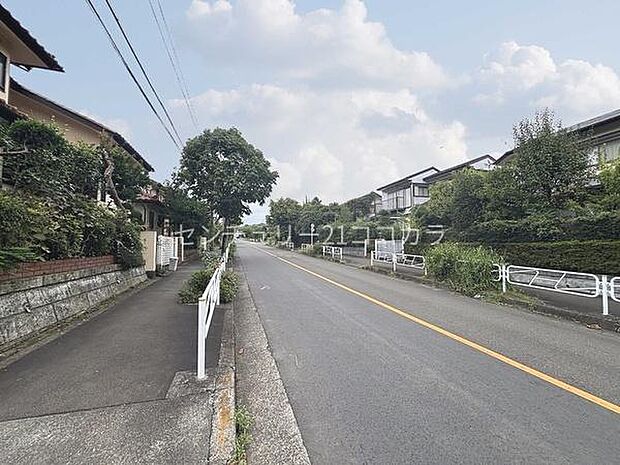 前面道路を含む現地写真