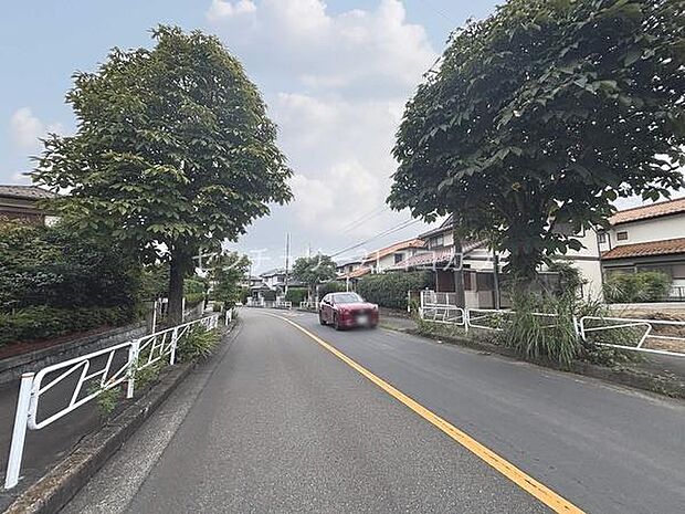 前面道路を含む現地写真