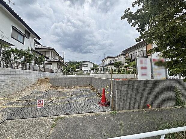 2026年7月31日撮影