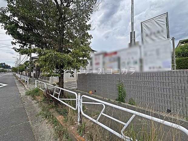 2026年7月31日撮影
