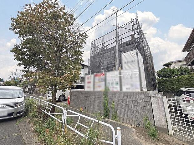 2026年8月31日撮影