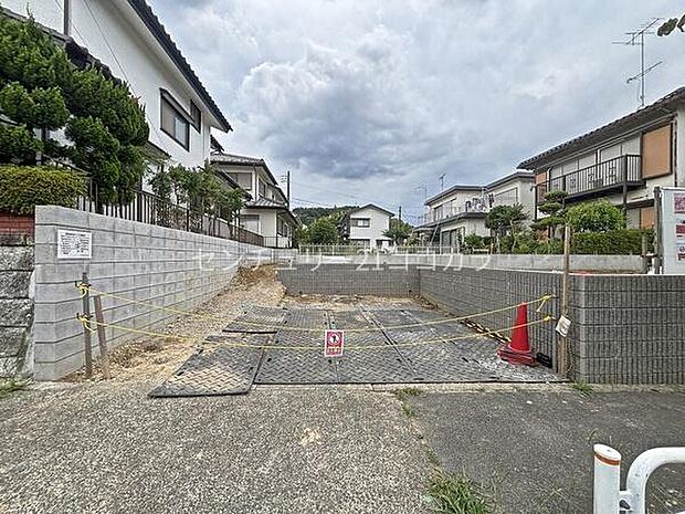 2026年7月31日撮影