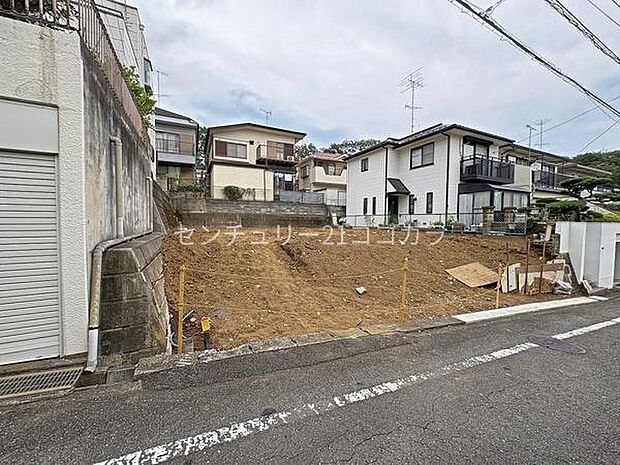 2026年7月31日撮影