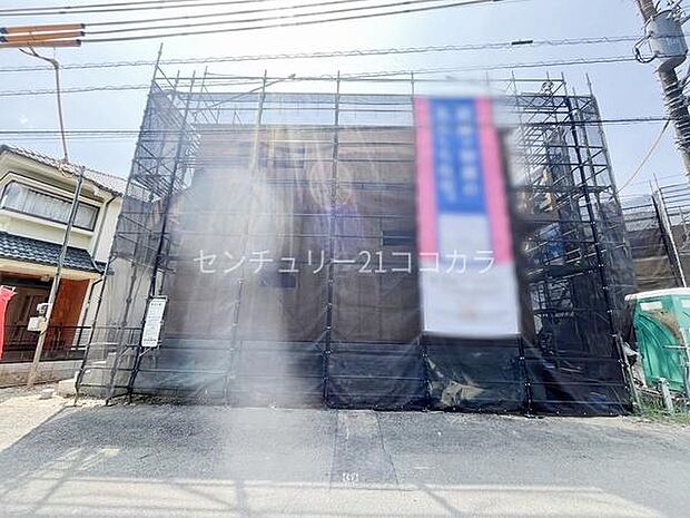 2026年8月3日撮影