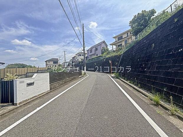 2026年8月20日撮影
