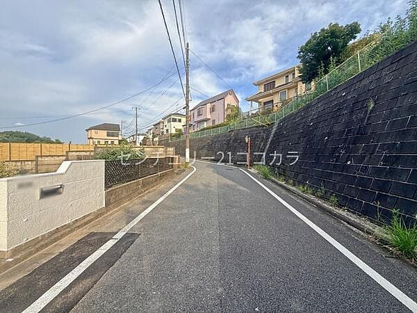 前面道路を含む現地写真