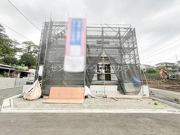 2026年7月27日撮影