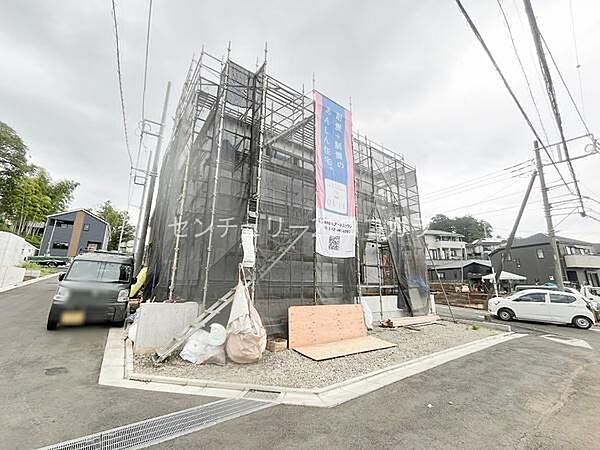 2026年7月27日撮影