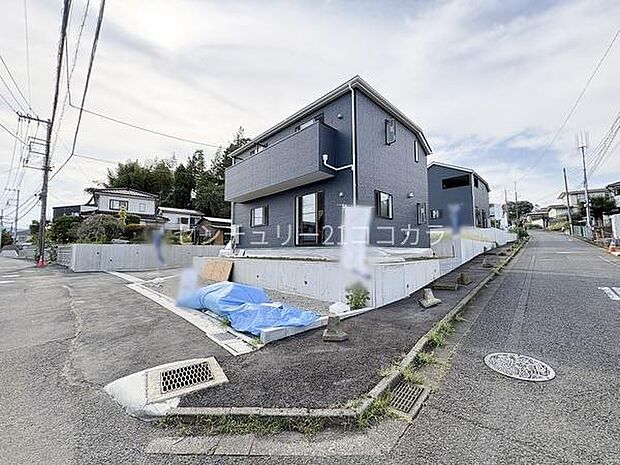 2026年8月20日撮影