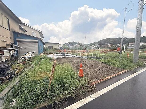 2026年9月4日撮影