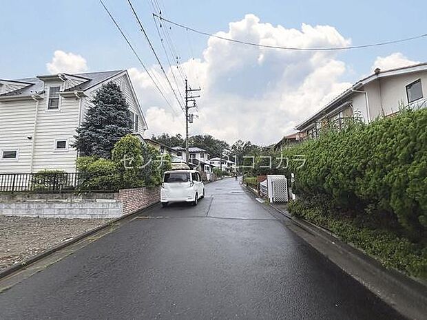2026年9月4日撮影