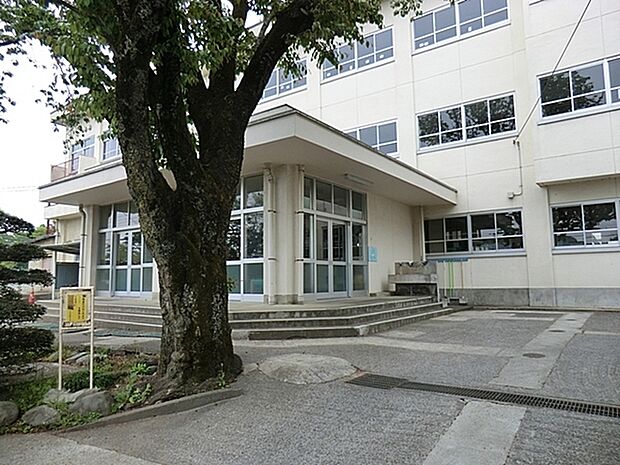 八王子市立川口小学校まで750m