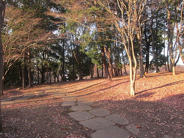富士見台公園まで850m