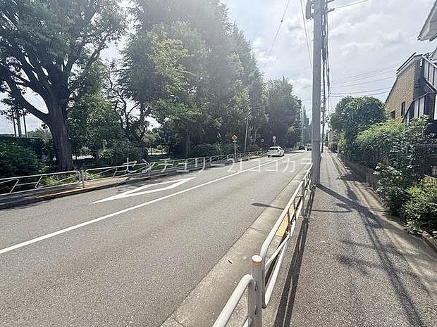 2026年8月20日撮影