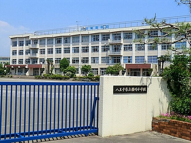 八王子市立横川小学校まで700m