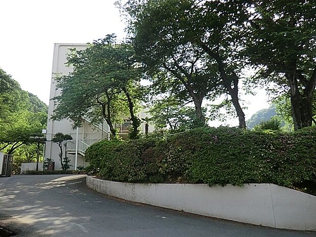 八王子市立浅川中学校まで750m