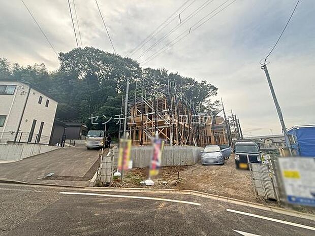 2026年9月25日撮影